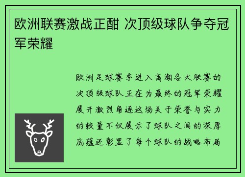 欧洲联赛激战正酣 次顶级球队争夺冠军荣耀